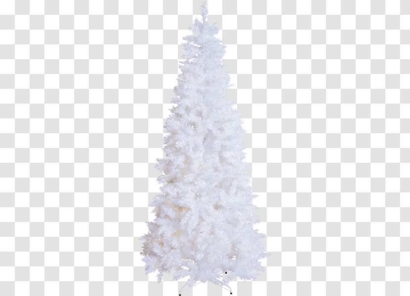 Christmas Tree - Oregon Pine - Conifer Interior Design Transparent PNG