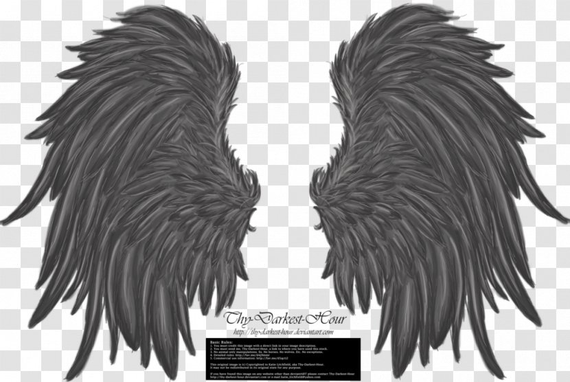 Wings - Deviantart - Monochrome Transparent PNG