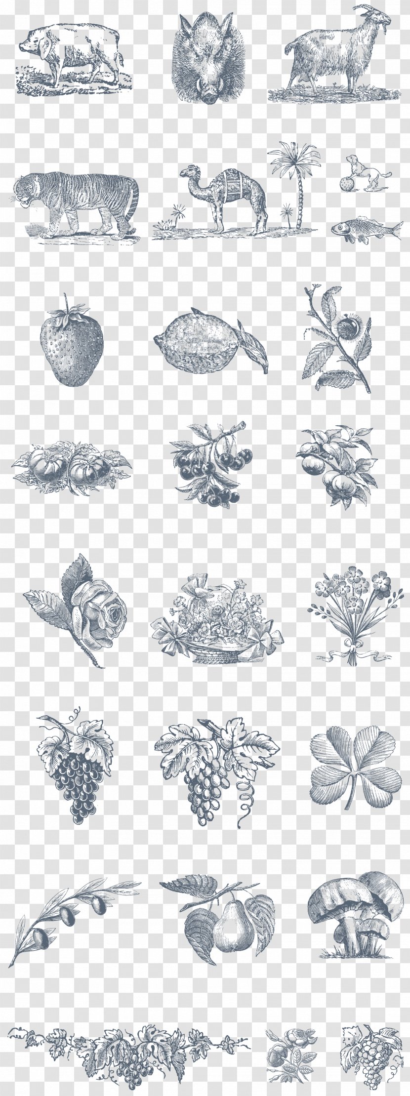 Victorian Era Drawing Visual Arts - Monochrome - Decorative Illustrations Transparent PNG