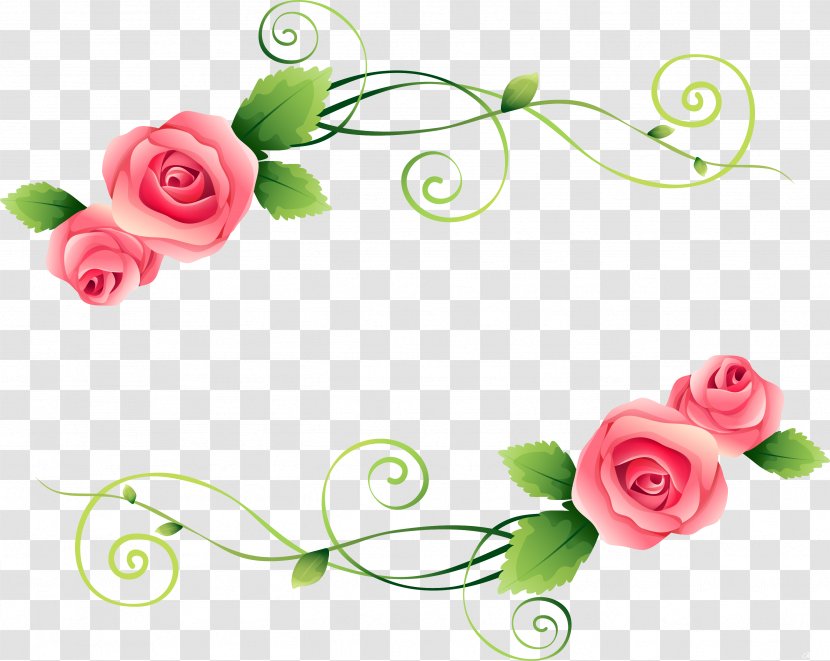 Garden Roses Flower Photography Clip Art - Beautiful Transparent PNG
