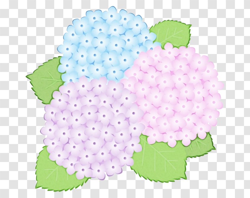 Cloud - Cornales Flower Transparent PNG