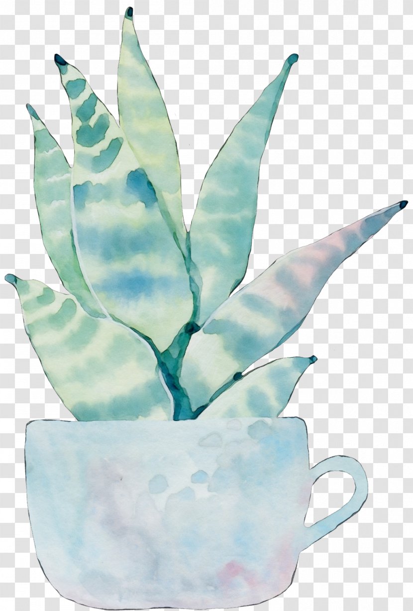 Leaf Turquoise Aqua Plant Agave - Flowerpot - Perennial Teacup Transparent PNG