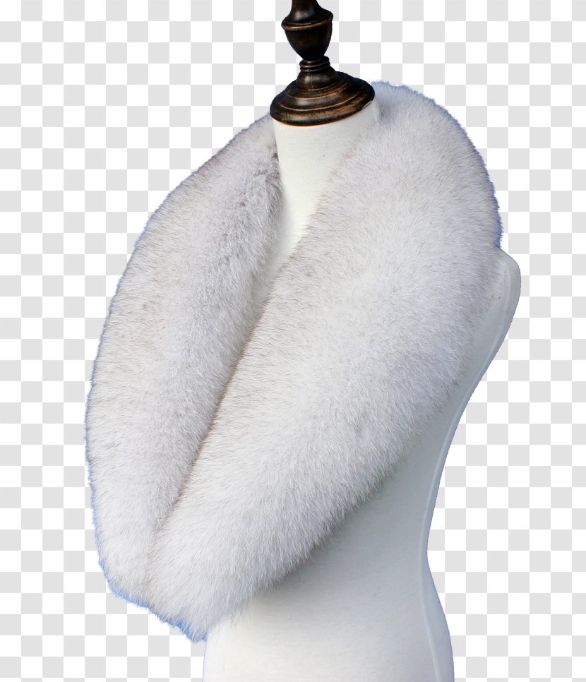 Fur Clothing Scarf Coat Download - Bontkraag - Raccoon Shawl Collar Transparent PNG