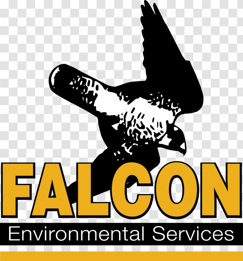 Falcon Bird Natural Environment Wing Environmental Protection Transparent PNG