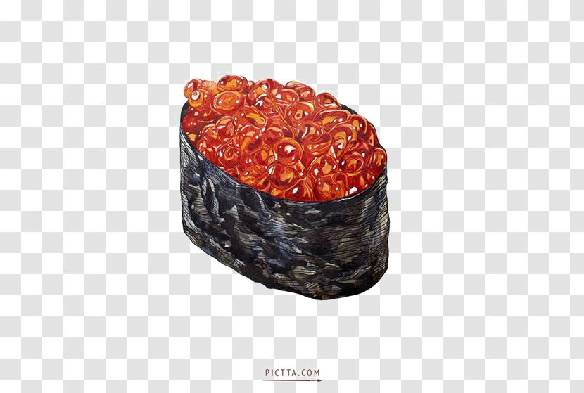 Sushi Japanese Cuisine Caviar Food Illustration - Roe Transparent PNG