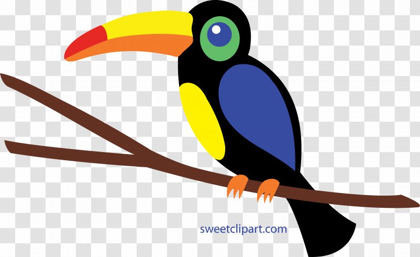 Bird Toucan Clip Art - Toucanet Transparent PNG
