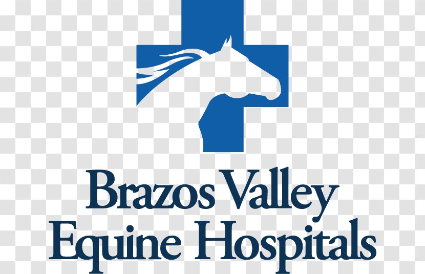 Horse Brazos Valley Equine Hospital County Mare Veterinarian - Cutting Transparent PNG