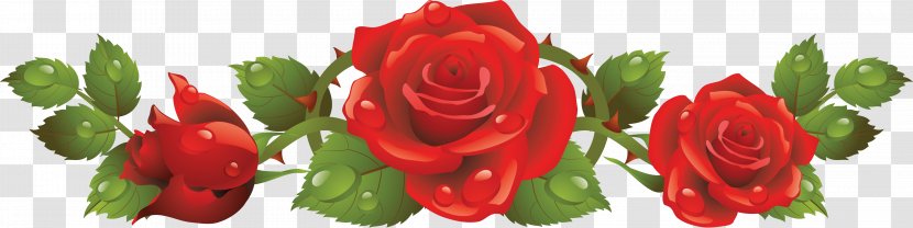 Rose Red Clip Art - Order Transparent PNG