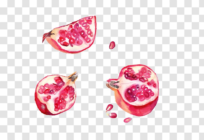 Pomegranate Strawberry Fruit Watercolor Painting - Magenta Transparent PNG