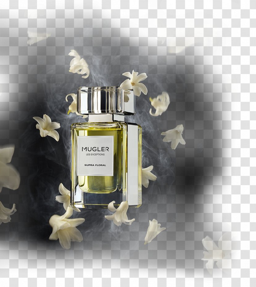 Perfumeria MEGAMI Designer Olfaction Family - Editors - Perfume Transparent PNG