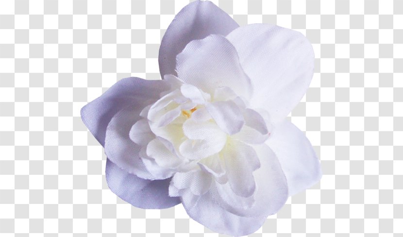 Flower - Gardenia - Flowering Plant Transparent PNG