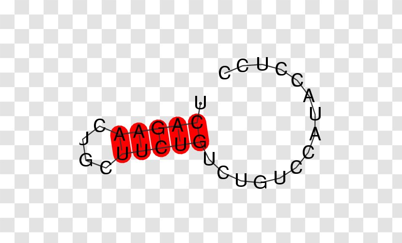 Magnetic Field Magnetism Sensor Measurement - Logo - Santa Cruz Biotechnology Transparent PNG