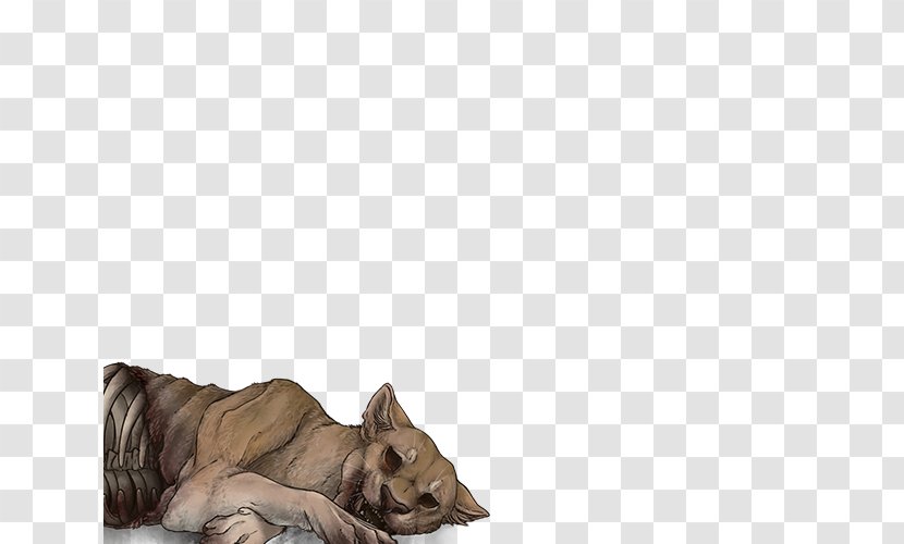 Cat Lion Dog Canidae Fur - Like Mammal Transparent PNG