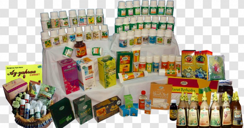 Pokok Misai Kucing Goods Herb Economics Food - Malaysia - Pucuk Emas Sdn Bhd Transparent PNG