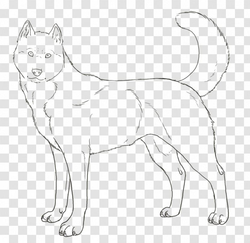 Siberian Husky Whiskers Puppy Dog Breed Alaskan - Boxer Transparent PNG