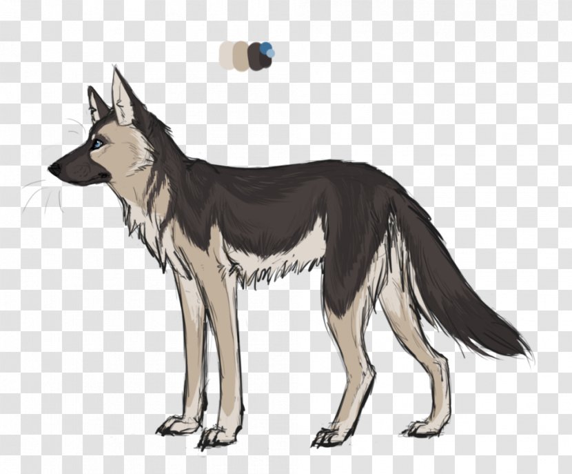 German Shepherd White Animal Pet Canidae Transparent PNG