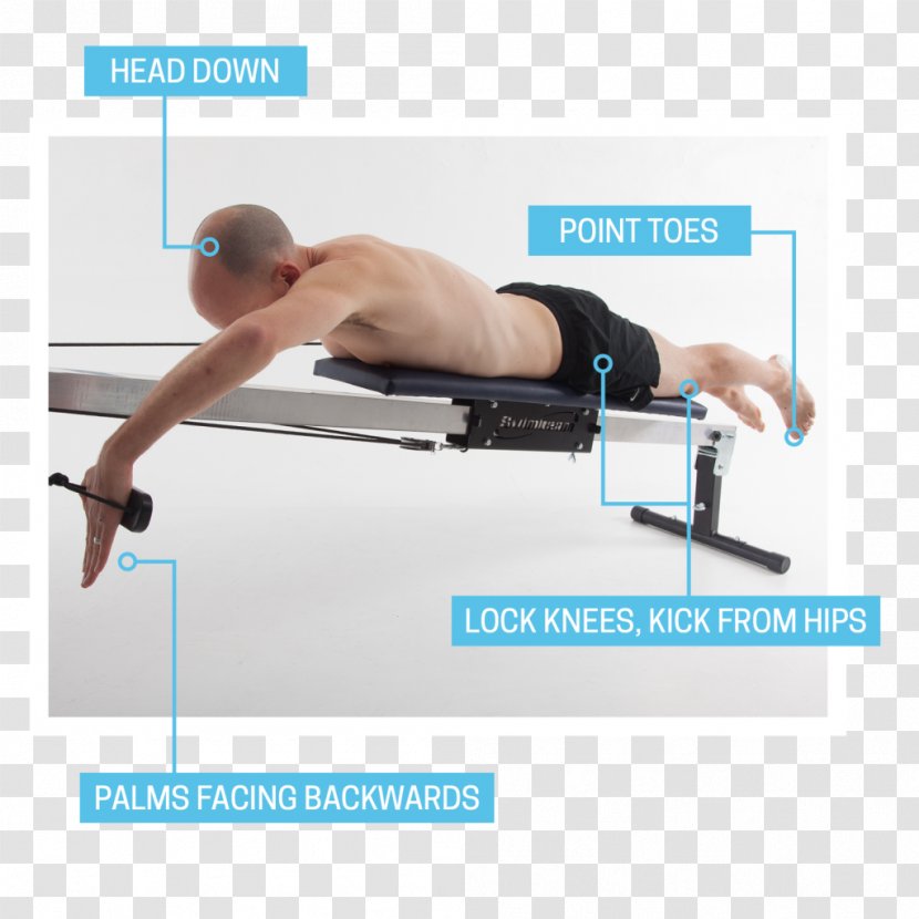 Exercise Machine Shoulder Physical Fitness - Tree - Swimming Training Transparent PNG