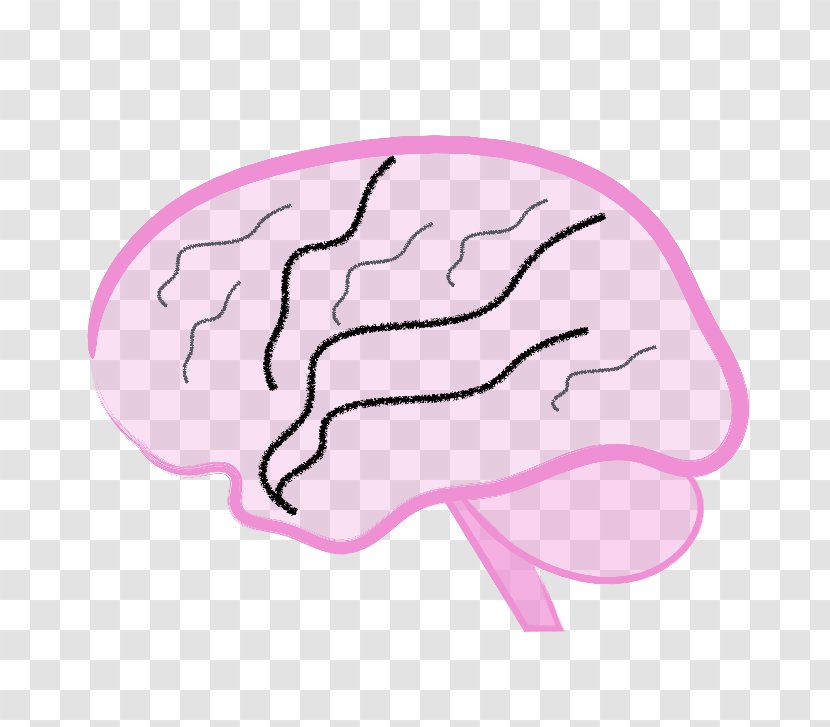 Brain Pink M Finger Clip Art - Watercolor Transparent PNG