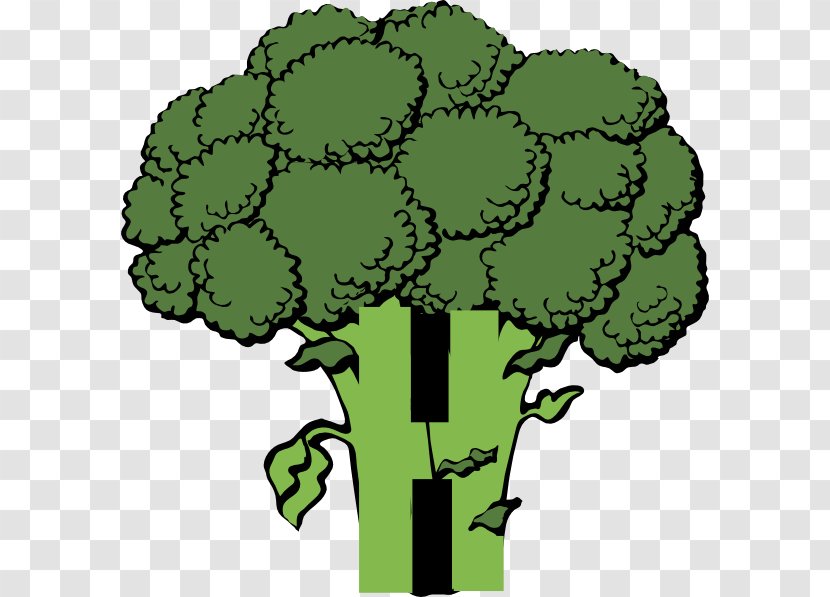 Broccoli Vegetable Clip Art - Food - Cliparts Transparent PNG