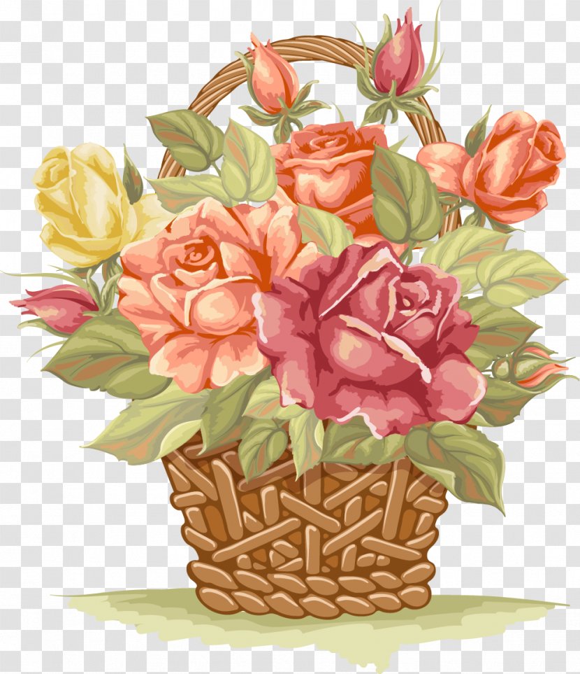 Flower Illustration - Rosa Centifolia - Vector Hand-drawn Retro Baskets Transparent PNG