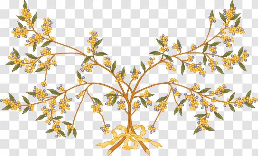 Branch Tree Acacia Clip Art - Plant Transparent PNG