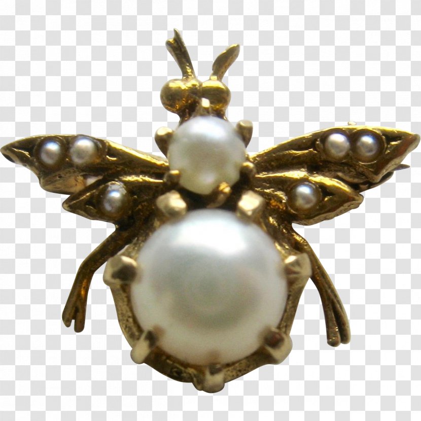 Insect Brooch Jewellery Clothing Accessories Pollinator - Membrane Winged - Beehive Transparent PNG