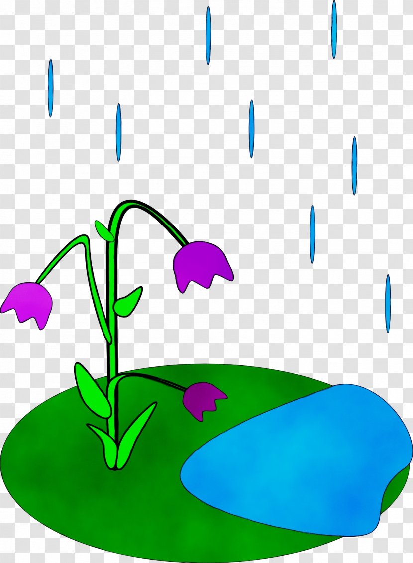 Watercolor Flower Background - Plant Thunderstorm Transparent PNG