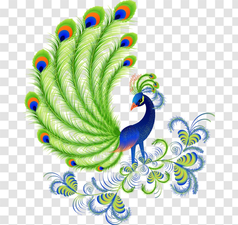 Peafowls, Peacocks And Peahens. Including Facts Information About Blue, White, Indian Green Peacocks. Breeding, Owning, Keeping Raising Peafowls Or Covered. Asiatic Peafowl Bird Transparent PNG