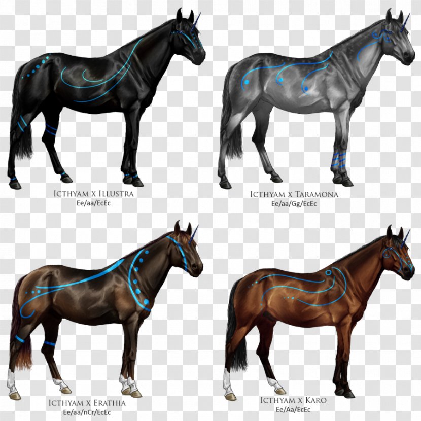 Mule Horse Coloring Book - Rein - Spirit Transparent PNG