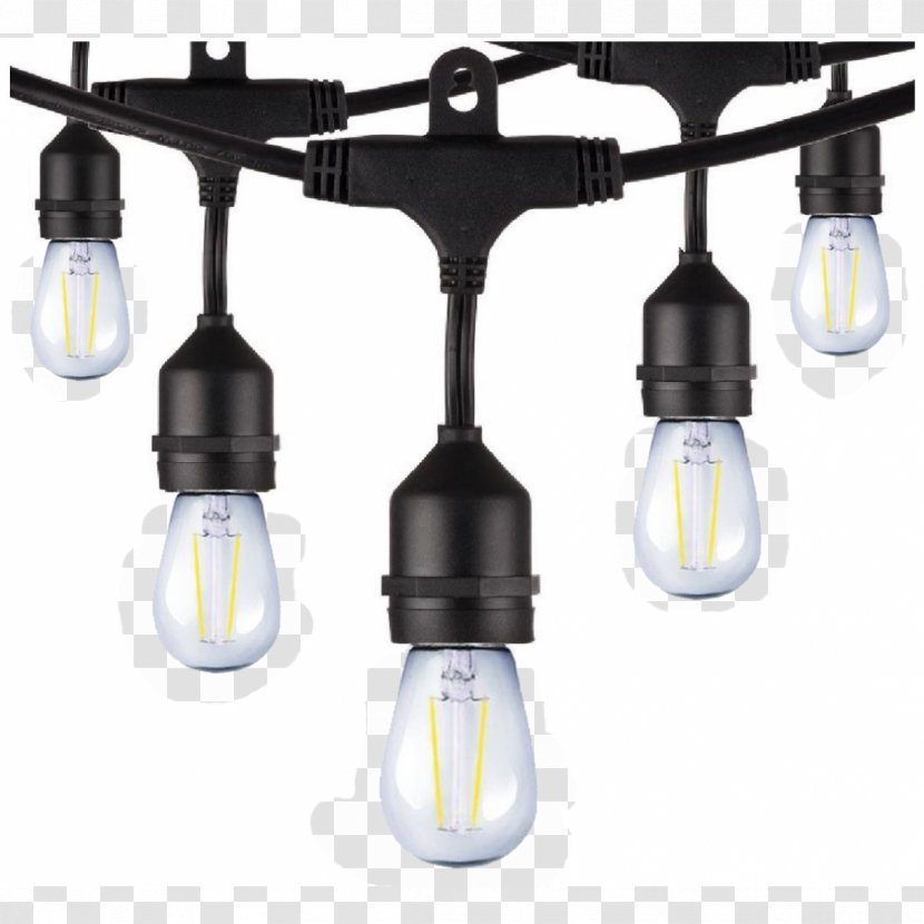 Incandescent Light Bulb LED Filament Lighting Lamp - Fixture Transparent PNG