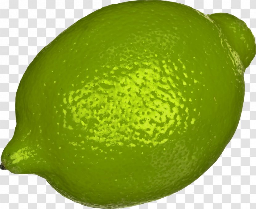 Sweet Lemon Key Lime Persian Transparent PNG