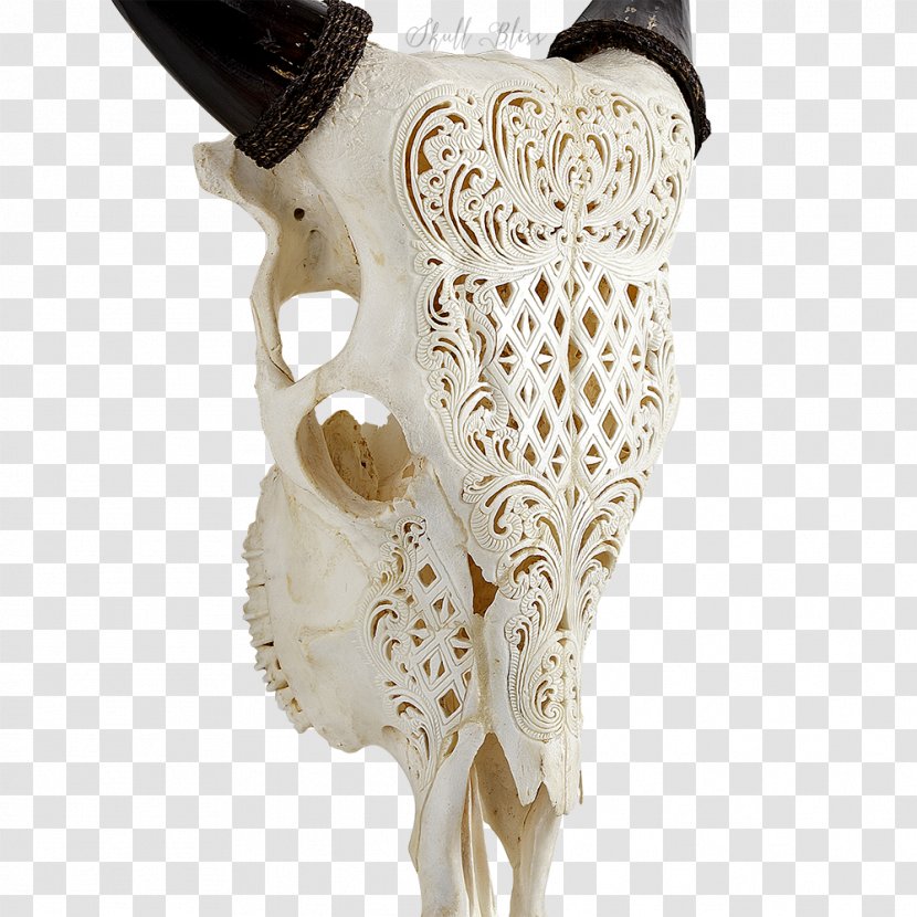 Cattle Bone Skull Horn Transparent PNG