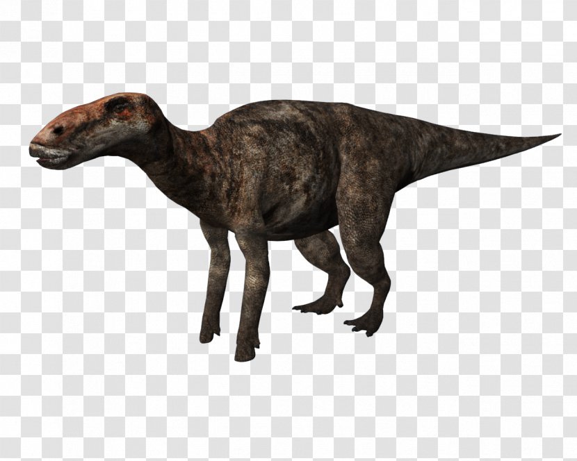 Dinosaur Tyrannosaurus Pachyrhinosaurus Edmontosaurus Annectens Cryptoclidus - Wiki Transparent PNG