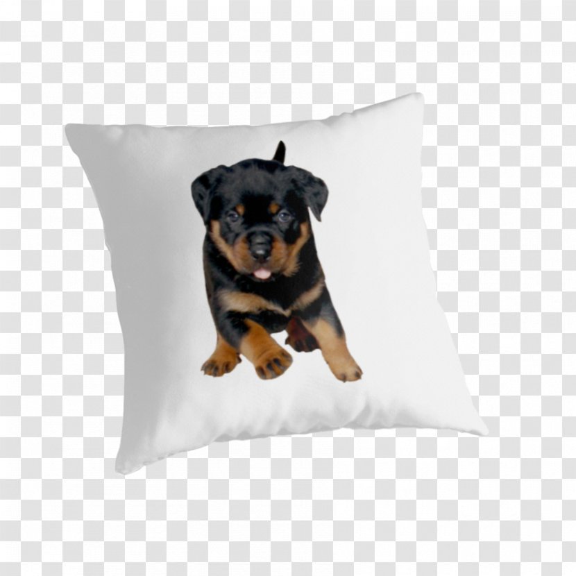 Rottweiler Puppy Hoodie Dog Breed T-shirt - Throw Pillow Transparent PNG