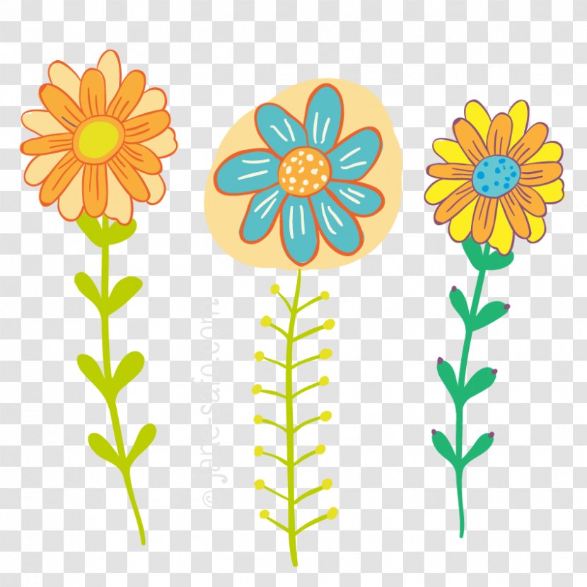 Chrysanthemum Oxeye Daisy Clip Art - Transvaal Transparent PNG