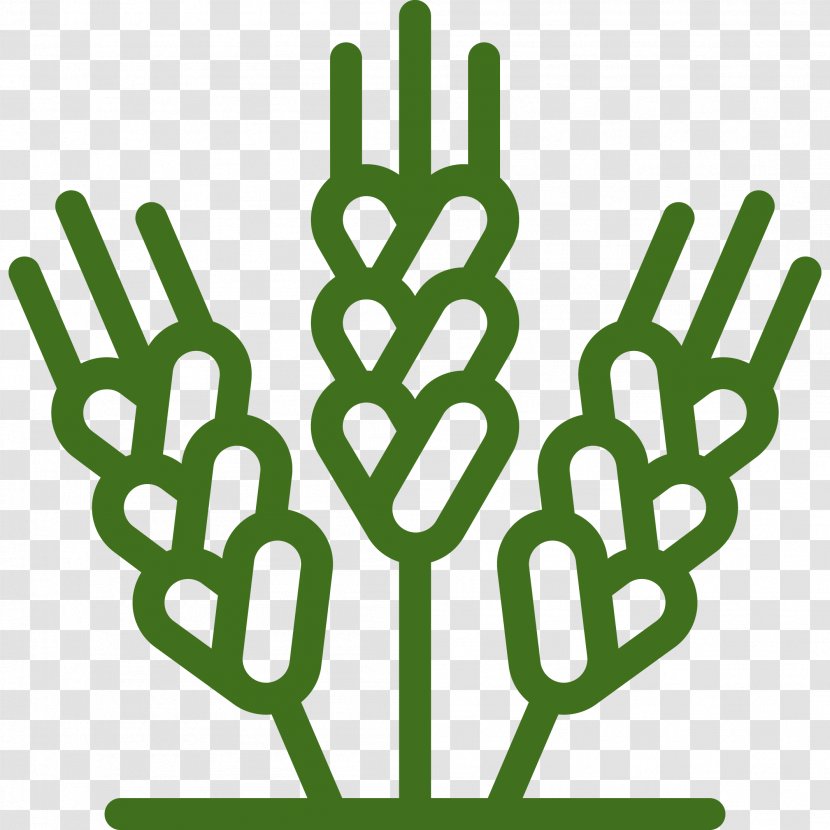 Agriculture Rye - Grass - Symbol Transparent PNG