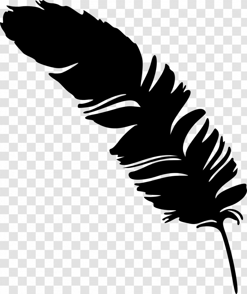 Feather Silhouette Photography Transparent PNG