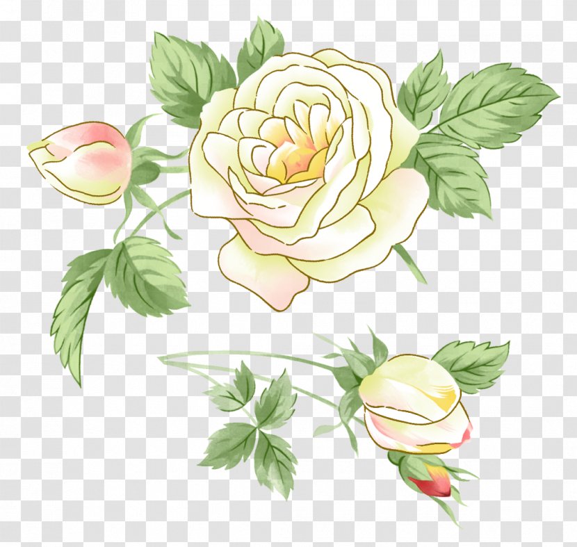 Garden Roses Flower Clip Art - Rosa Centifolia - White Transparent PNG