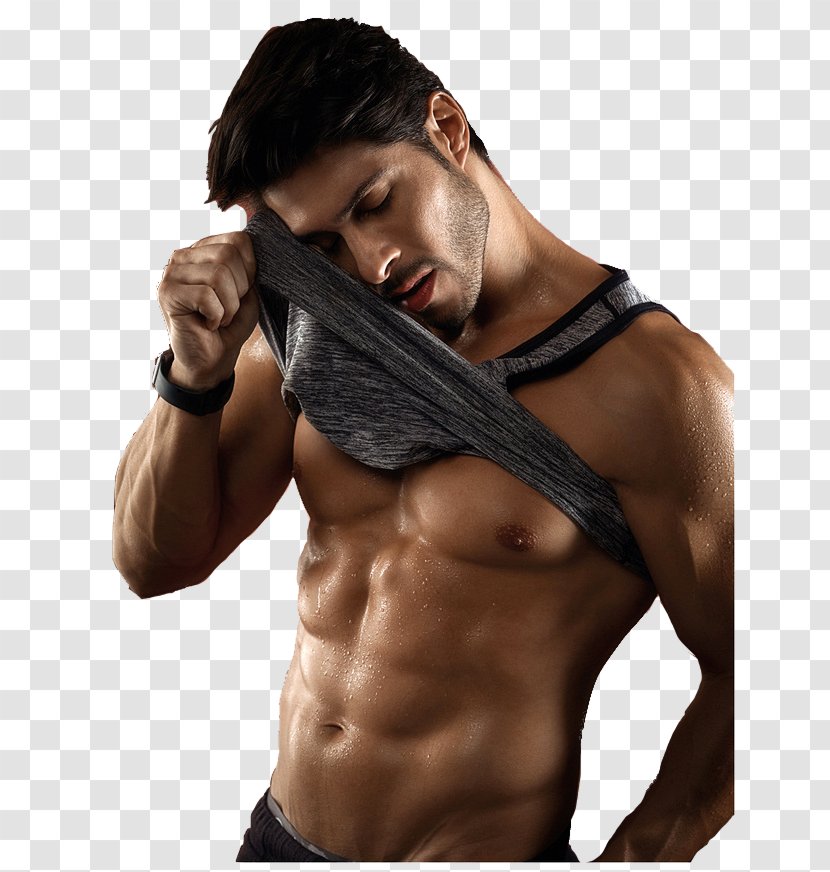 Electrical Muscle Stimulation Toning Exercises Hypertrophy Rectus Abdominis - Tree - Handsome Male Muscular Fitness Transparent PNG
