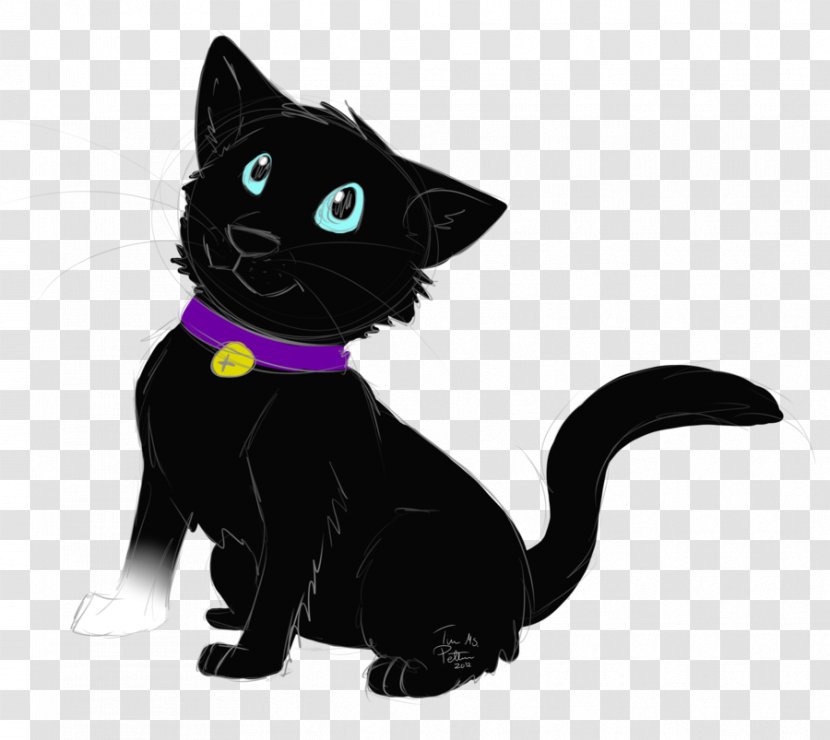 Black Cat Kitten Domestic Short-haired Whiskers - Vertebrate Transparent PNG
