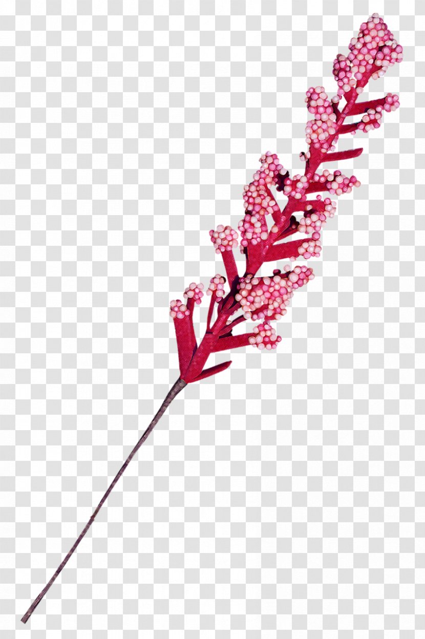 Flower Clip Art - Leaf - Chai Sheng Transparent PNG