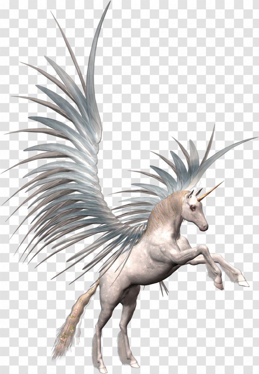 Unicorn Pegasus Clip Art - Wildlife Transparent PNG