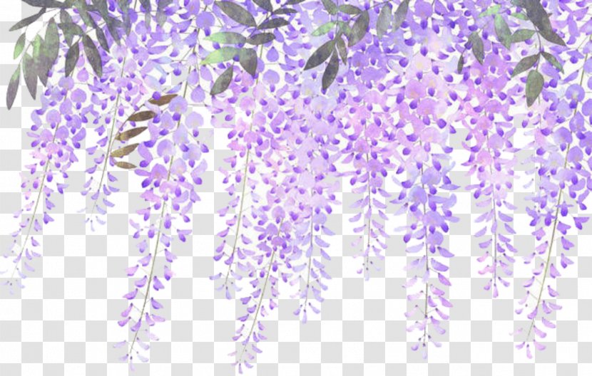 Lavender Flower Floral Design Clip Art - Avader Background Transparent PNG
