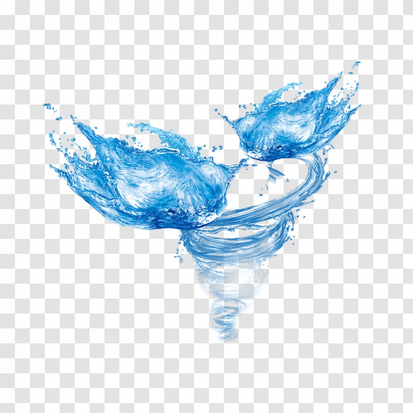 Drop Water Wind Wave Ice - Google Images - Rotating Nest Transparent PNG