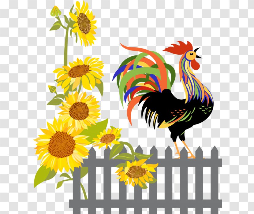 Chicken Rooster Clip Art - Galliformes Transparent PNG