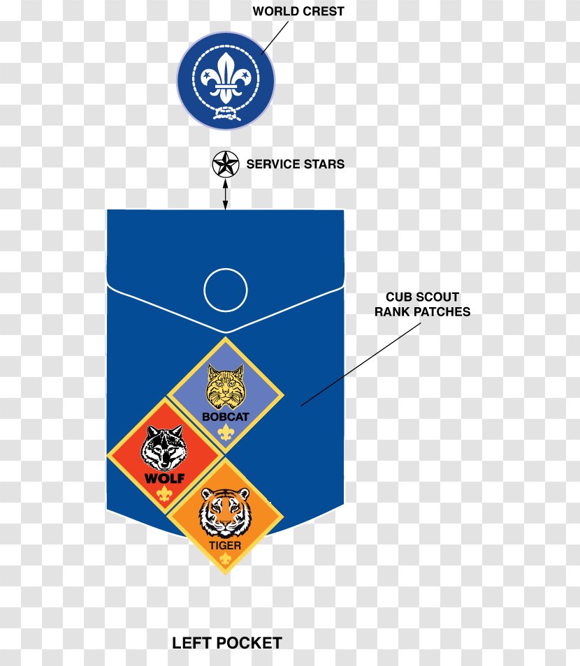 Cub Scouting Ranks In The Boy Scouts Of America - Area - Pinewood Derby Transparent PNG