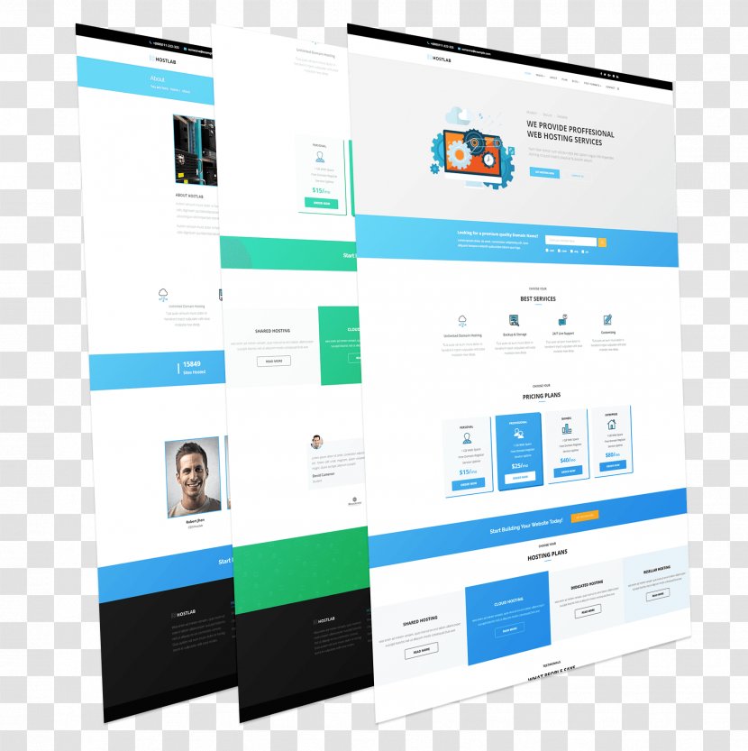 Responsive Web Design Page Layout Logo Display Advertising - Organization - Multimedia Transparent PNG