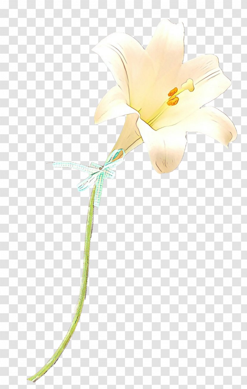 Moth Orchids Cut Flowers Plant Stem Herbaceous - Flowering Transparent PNG