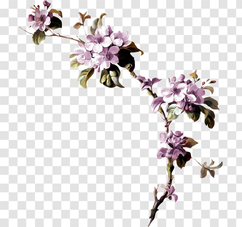 Flower Blossom Clip Art - Branch Transparent PNG