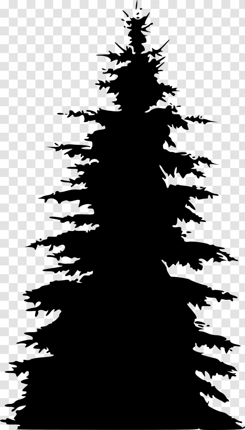 Pine Fir Spruce Tree Silhouette - Monochrome Photography Transparent PNG